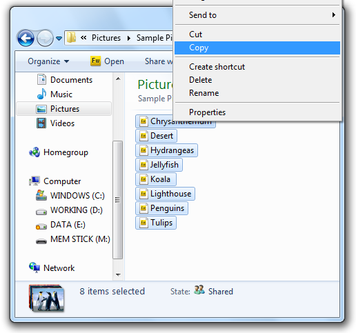 memory_stick_3_maint