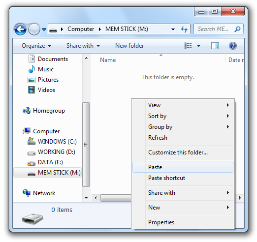 memory_stick_4_maint