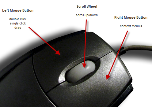 Mouse_basics